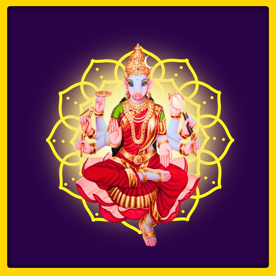 SDRSER3381 - 1762434869.jpg